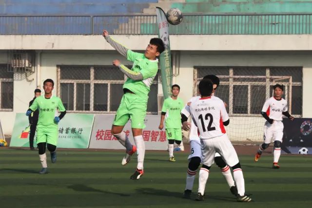 “水立方”再迎跳水世界杯总决赛 中国队以老带新、满额参赛